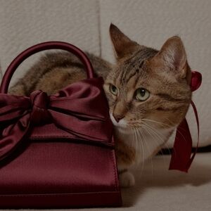 Aldo Wine Red Crossbody Bag with Bow